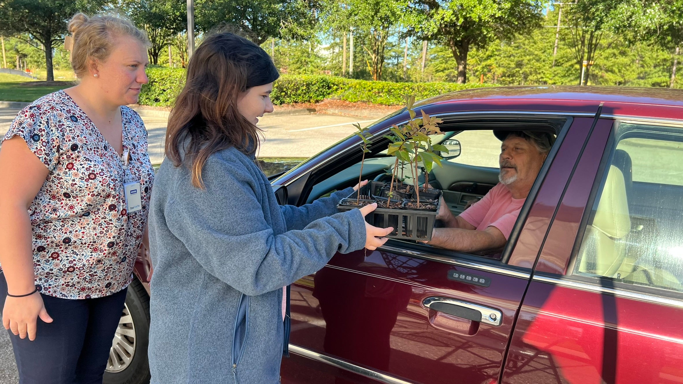 Employees distribute trees to members